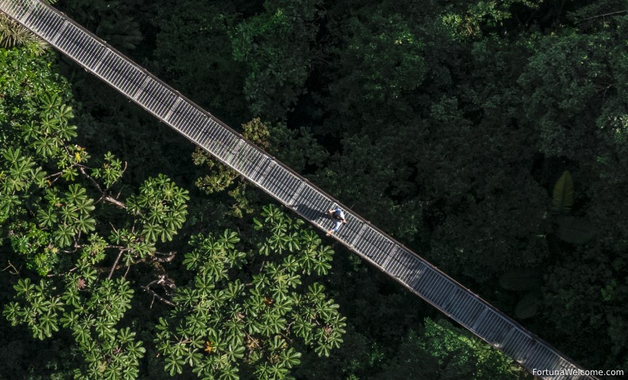 Hanging bridges at Mistico Park - La Fortuna to Monteverde transfer